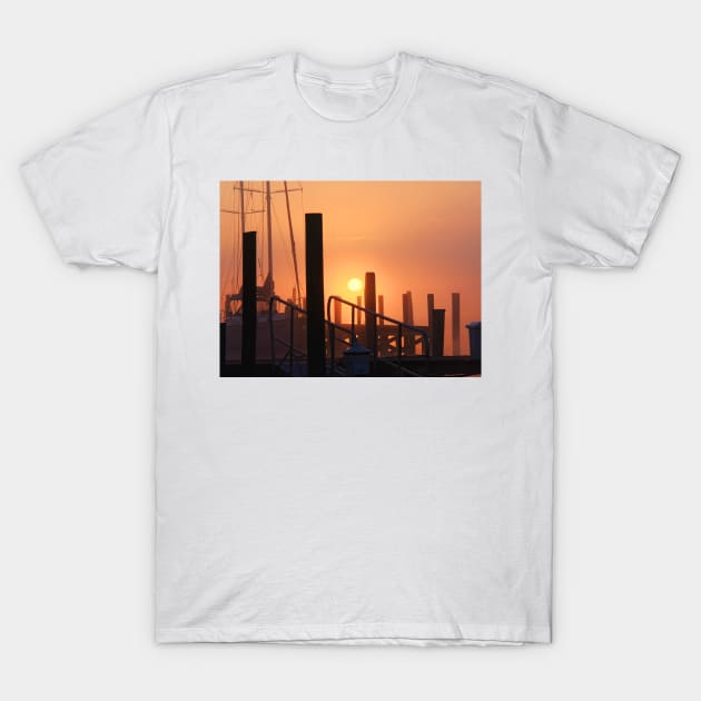 Sun on docks T-Shirt by tgass